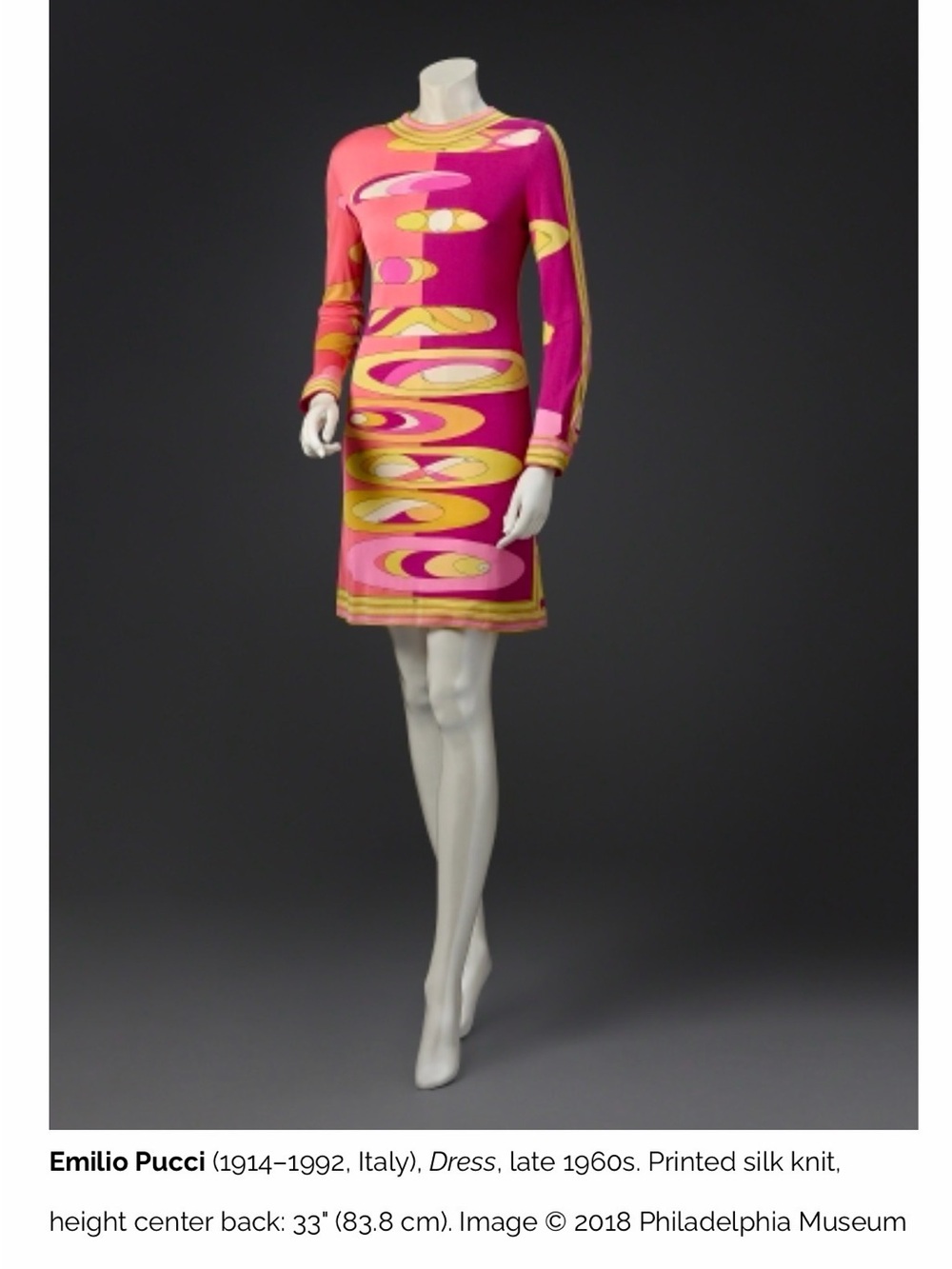 Vintage Pucci Dress